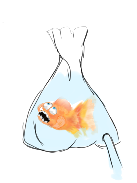 gold fish part 2