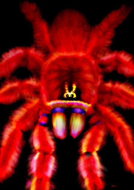 タランチュラ