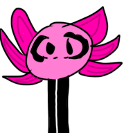 Kinitopet