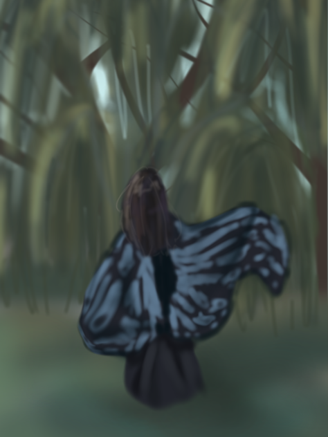 Practice pt 1