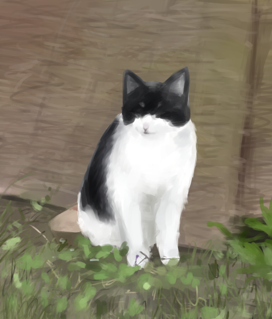 まだまだ良くなりそうだけど上げる