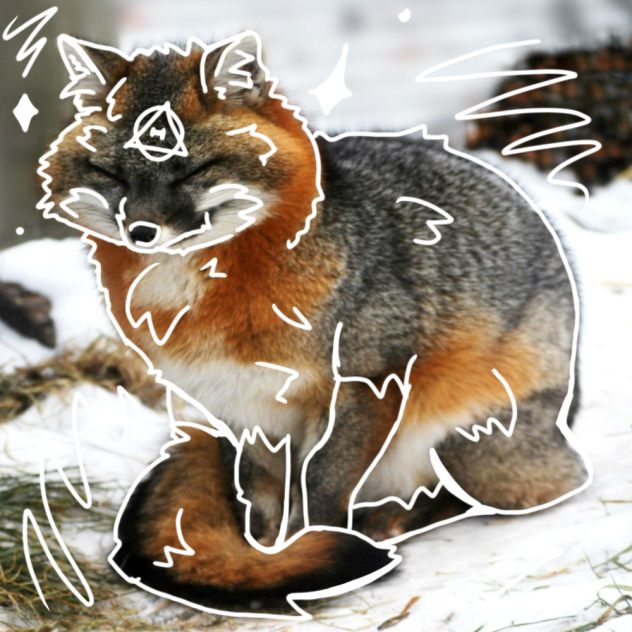 Fox therian art✨