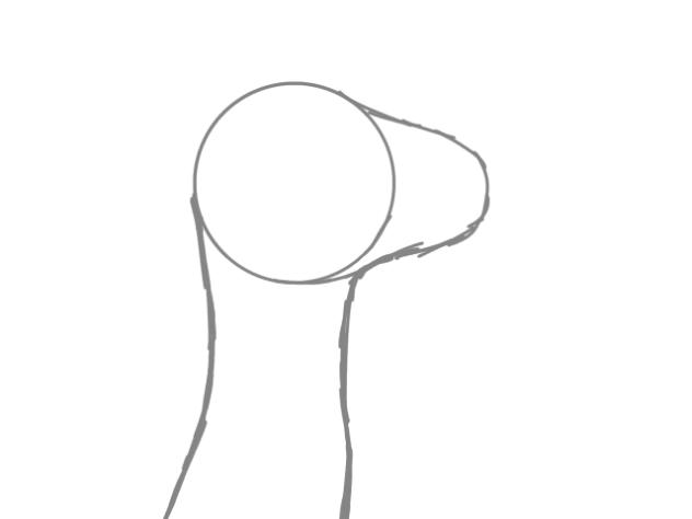 Sketch