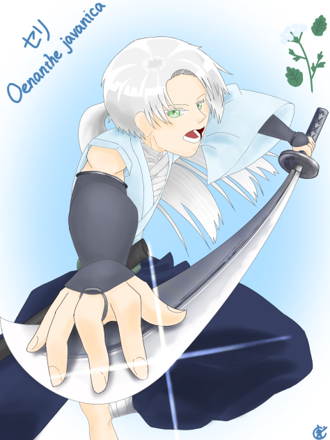 セリ-芹-　Oenanthe javanica