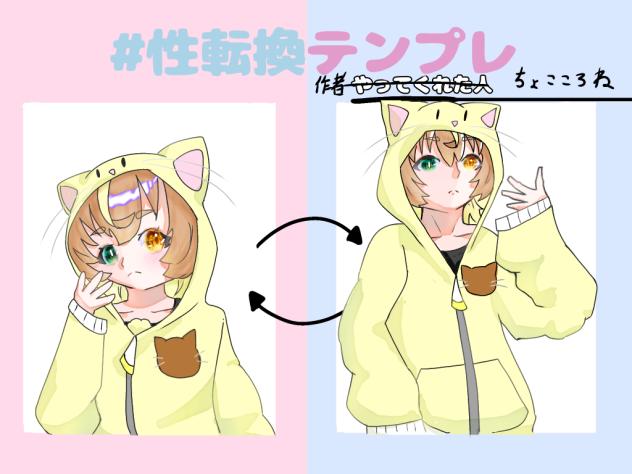 性転換テンプレ見本