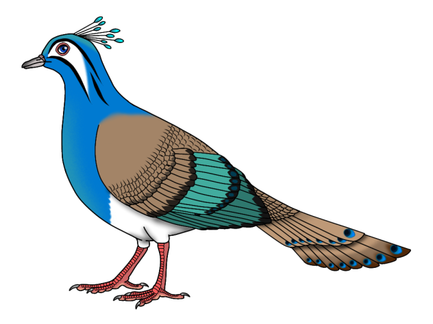 Princess Margarette's Peacock-dove m2