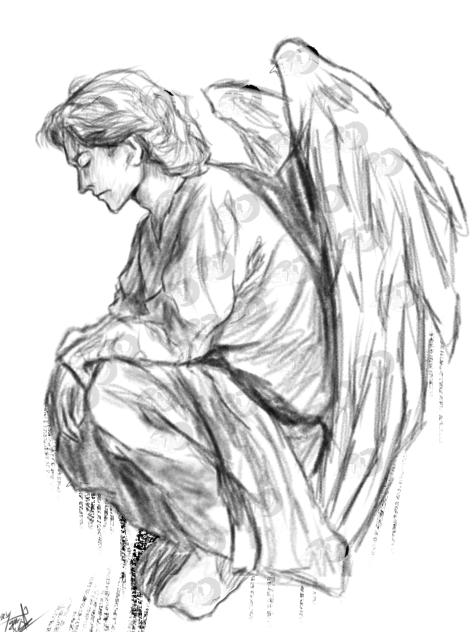 The Broken Angel 🕊️✨