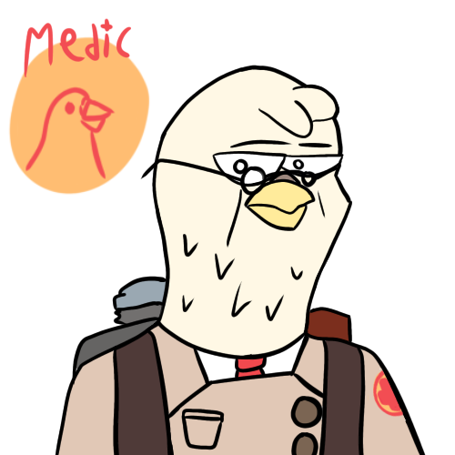 Medimedes 🕊️