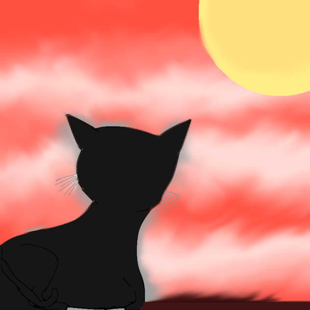 Black Cat looking at the sky on a fence