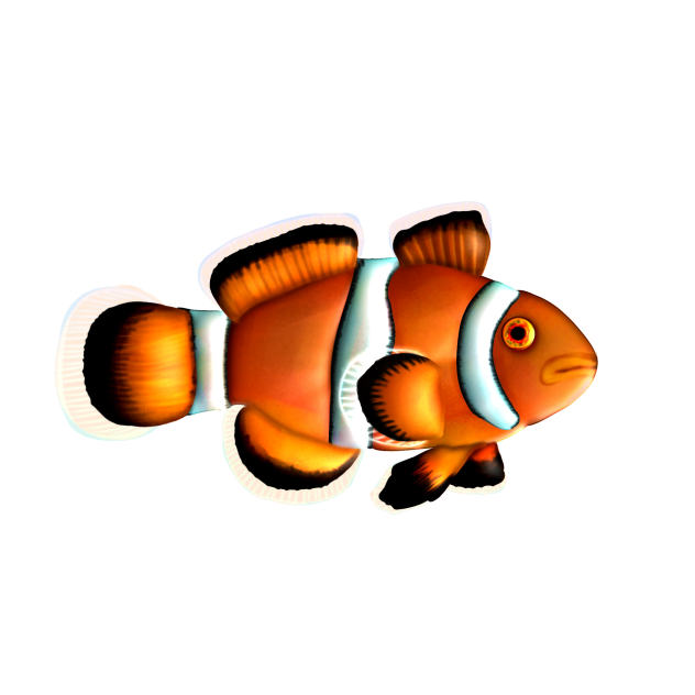 Clownfish