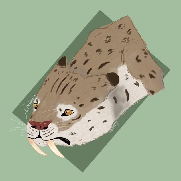 smilodon (aka saber tooth tiger)
