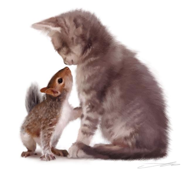 🐿🐈