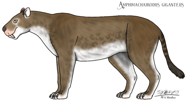 Amphimachairodus giganteus