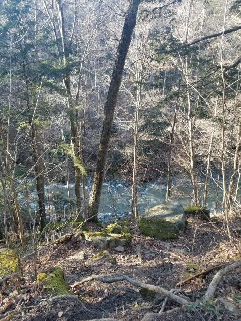 another day on a hike