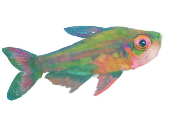 paint rainbow fish