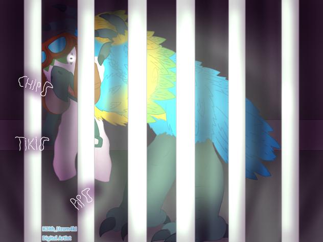 Experiment IP - Molly Macaw