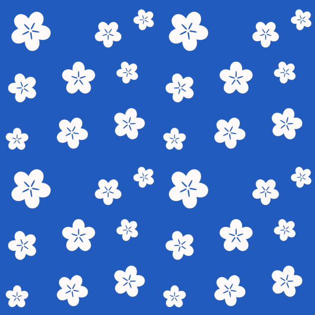 Clothes pattern 6 b