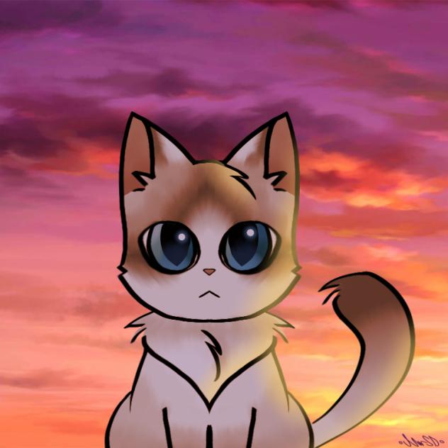 ✧~✨️~✧