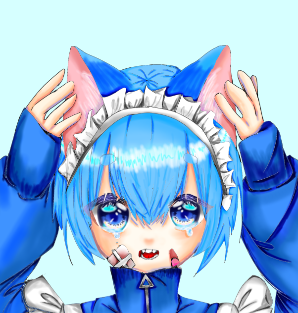 あお猫