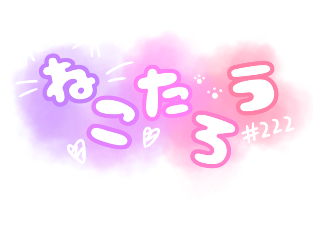 ねこたろう様へ2