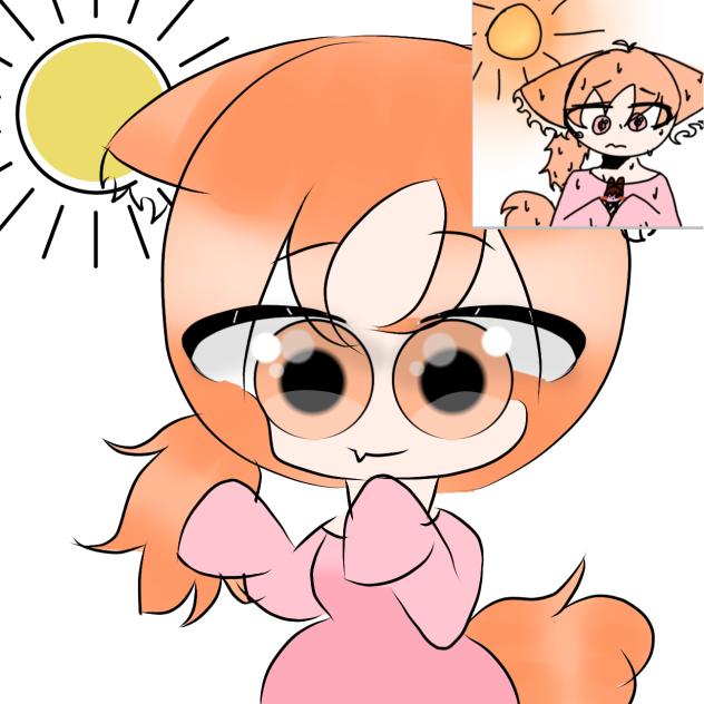 🧡☀🐱
