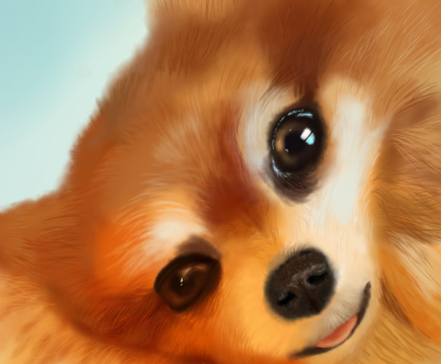 Puppy