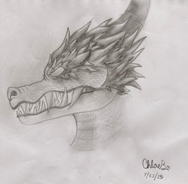 Dragon drawing… O_O