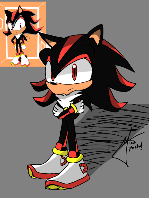 new shadow the hedgehog
