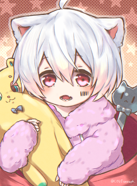 カップの中からこんにちは🐱