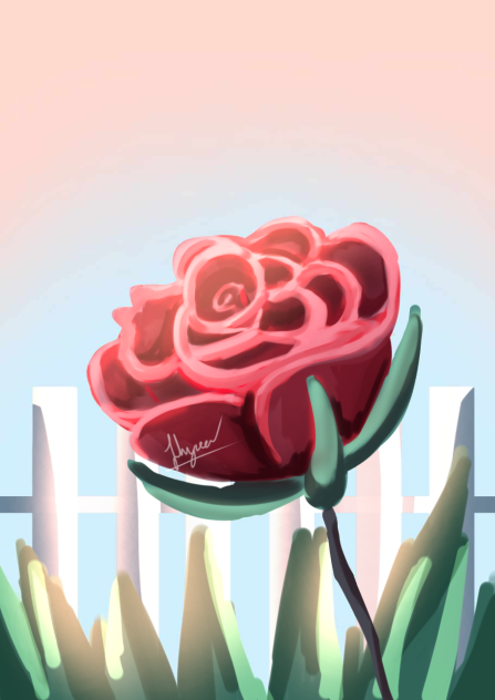 rose