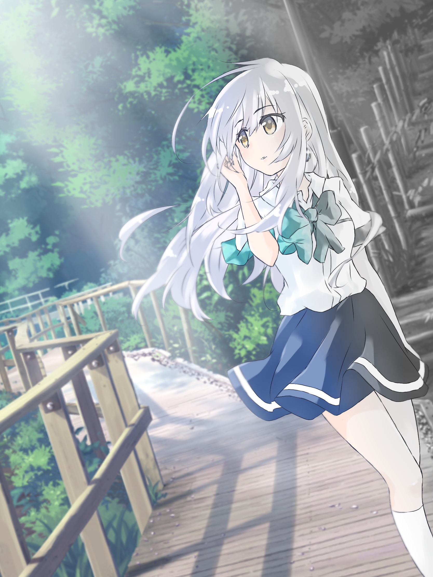 image262552244.png