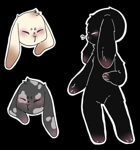 Bunnies