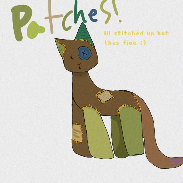 patches da cat 😺