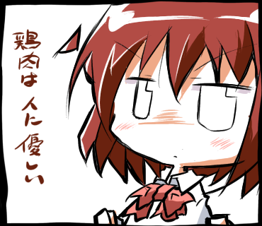 鶏肉は人に優しい