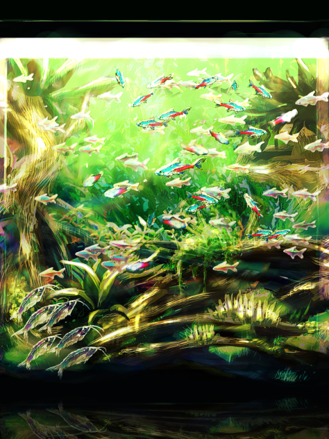 キラキラ水槽