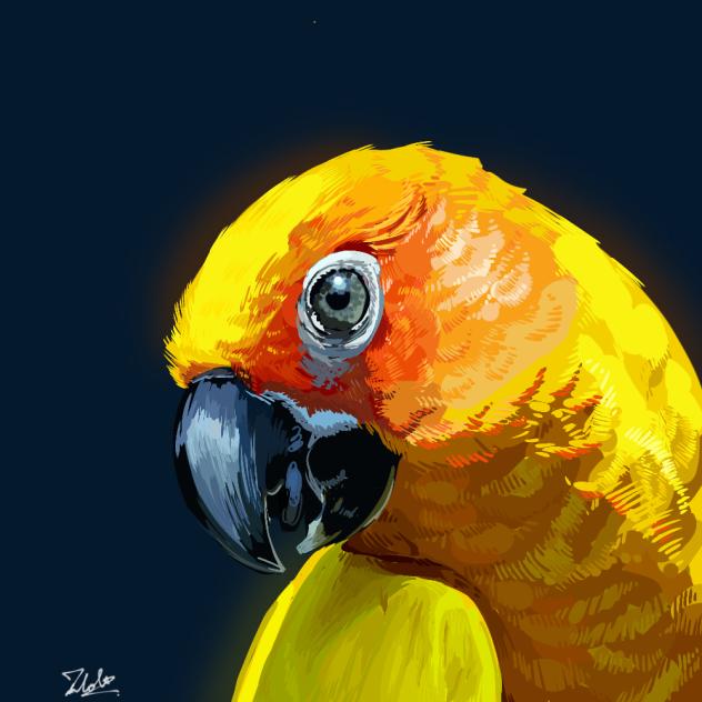 parrot1-observational study