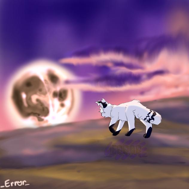 🌑moonrise 🌕