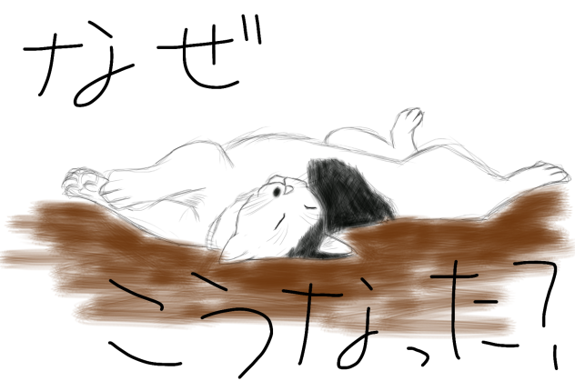 何故だ！？