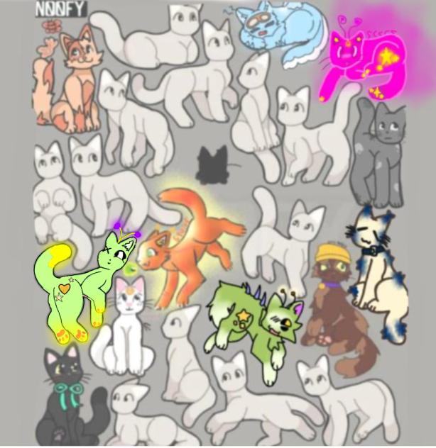 Cat collab