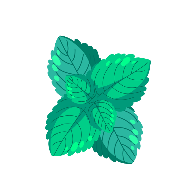 Peppermint leaf