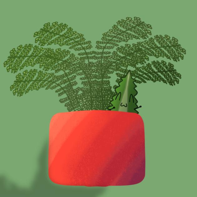 🌿 fern