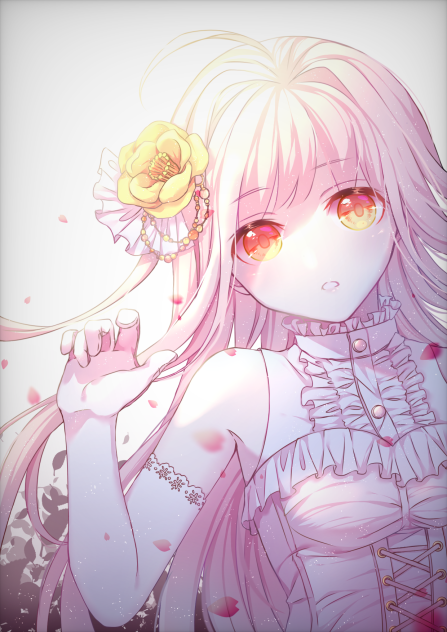 ♦︎♢♦︎