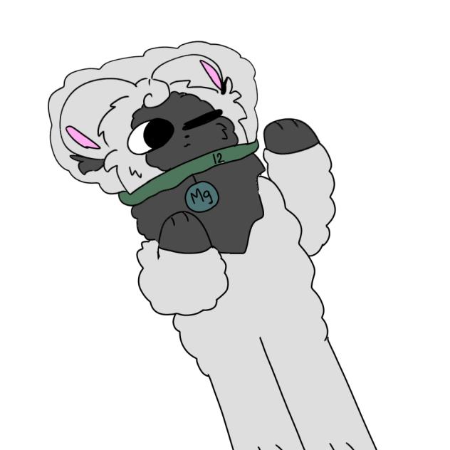 Magnesium hamster 🐹🐾 ✨