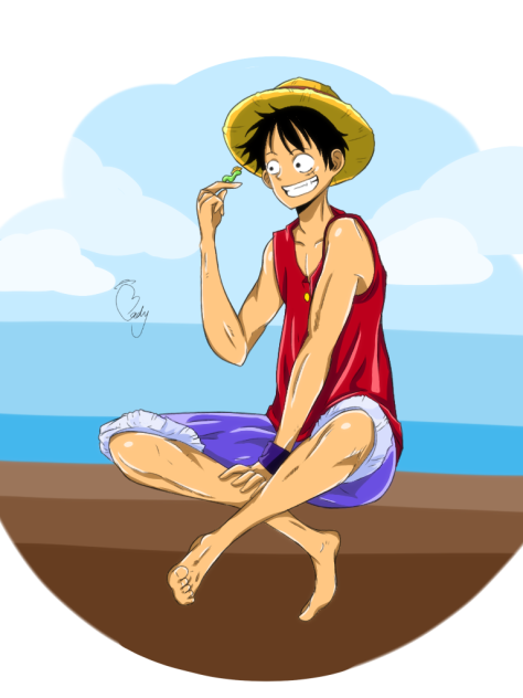 Monkey D Luffy 2