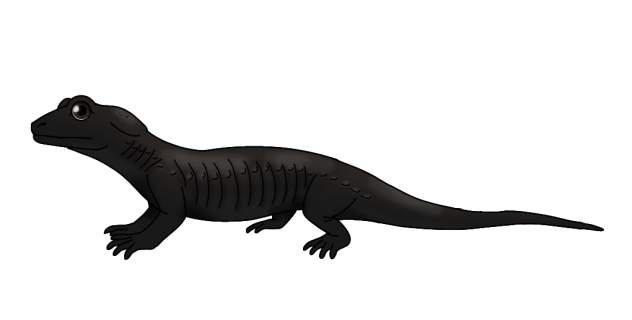 Alpine Salamander2