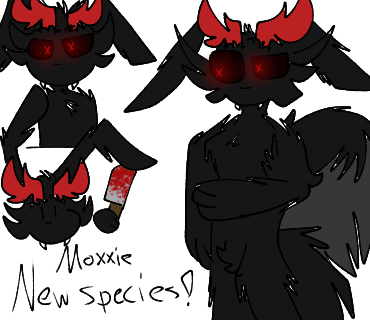 New Species! Wolgiln! and this is Moxxie