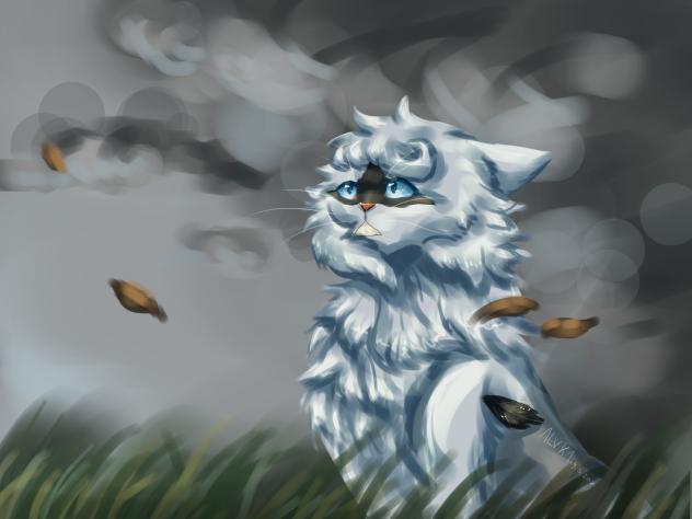 Eye of the storm