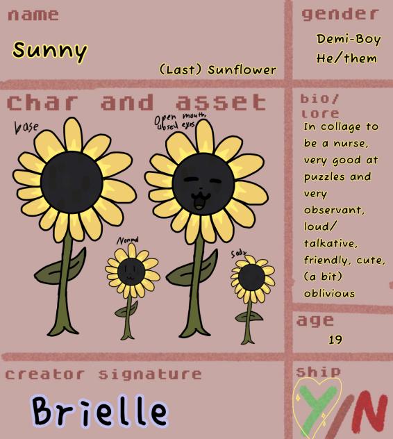 Sunny Sunflower!