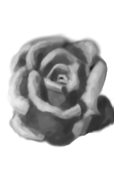 rose - ibisPaint