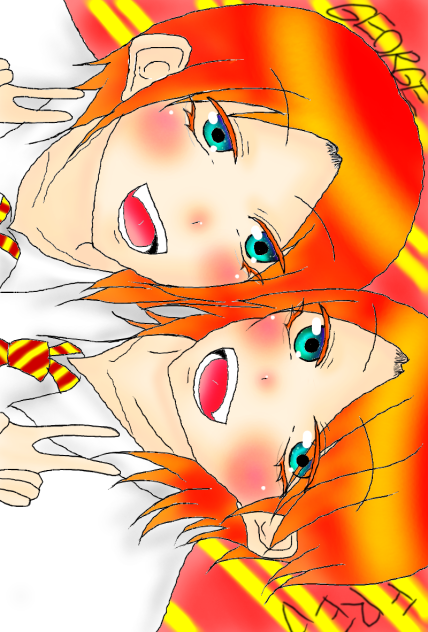 ハリポタ フレッド,ジョージ